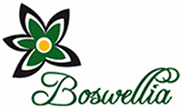 Salon Boswellia - kosmetika a masáže Praha 5
